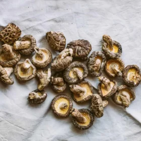 Buy Golden Teacher Mushroom online Italy, Shrooms for sale near me Milan, How to buy psychedelic mushroom in Rome, Vernice, Europe, Florence,Genoa, Naples
